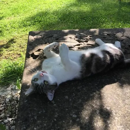 Domaine De La Charmille Проживание в семье *