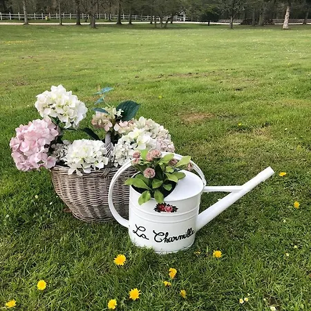 Проживание в семье Domaine De La Charmille Эрменонвиль